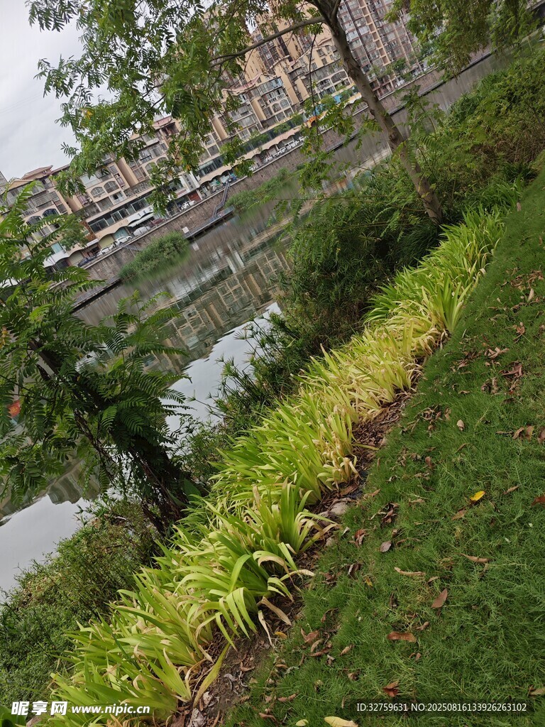 河畔綠植景觀