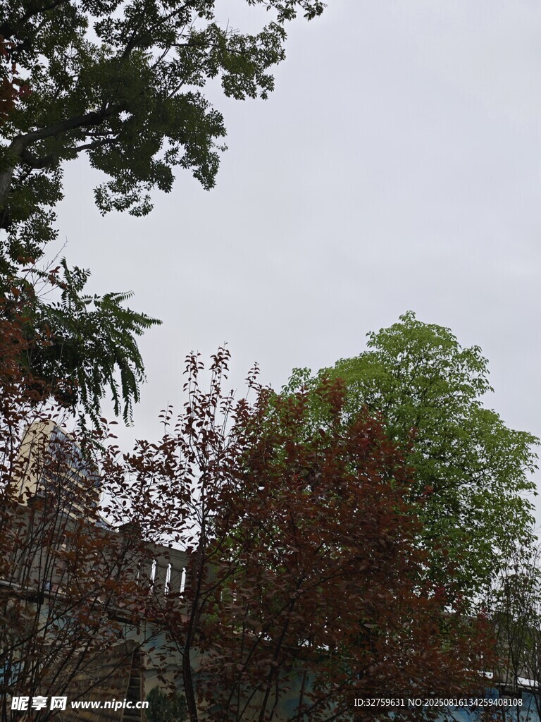 戶外樹木與圍欄景致