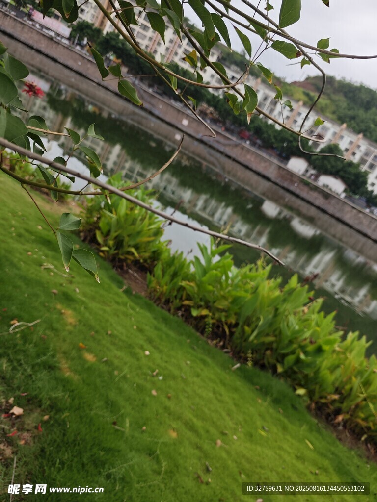 河畔綠植景觀