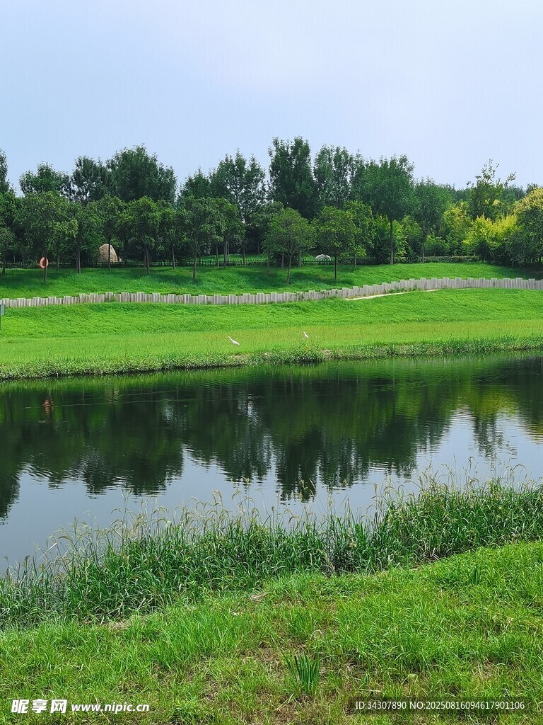 湖畔綠野風光