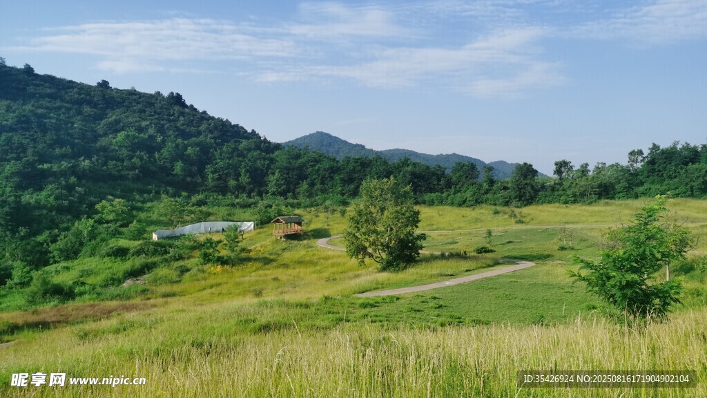 銅川草場