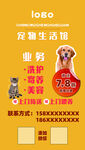 寵物美容