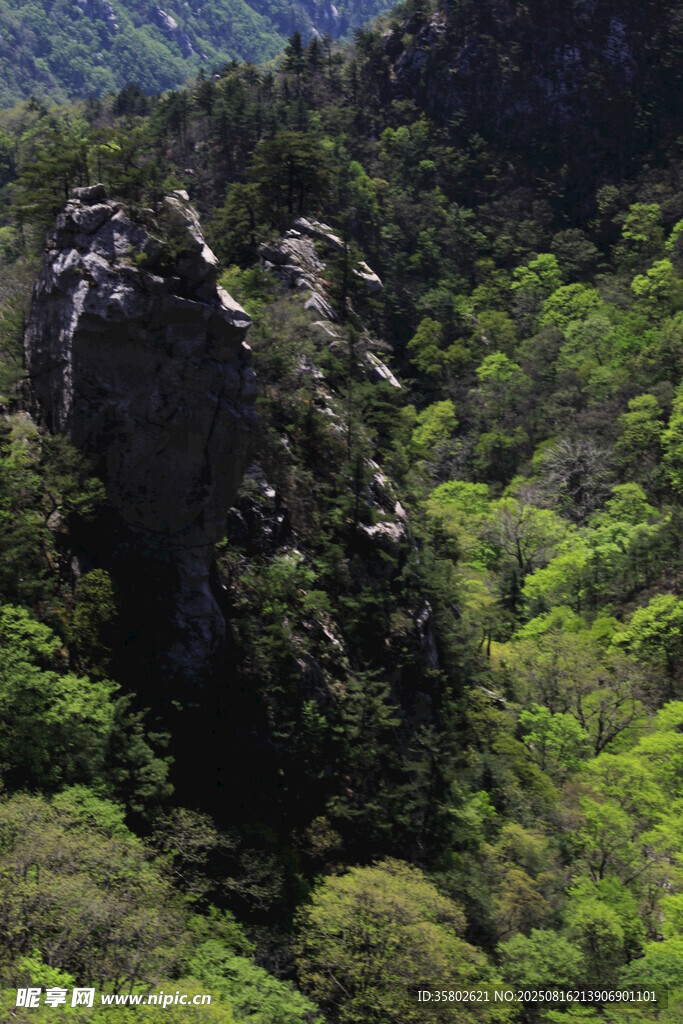 山林間的嶙峋怪石