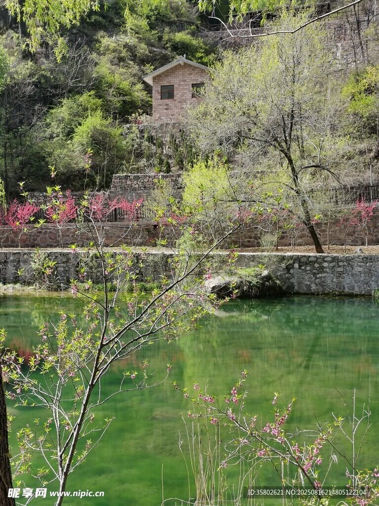 山間綠水畔的春日景致
