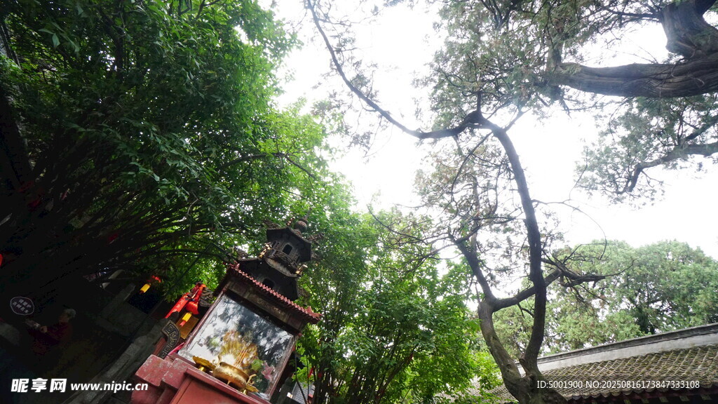 古亭隱于繁茂綠樹間