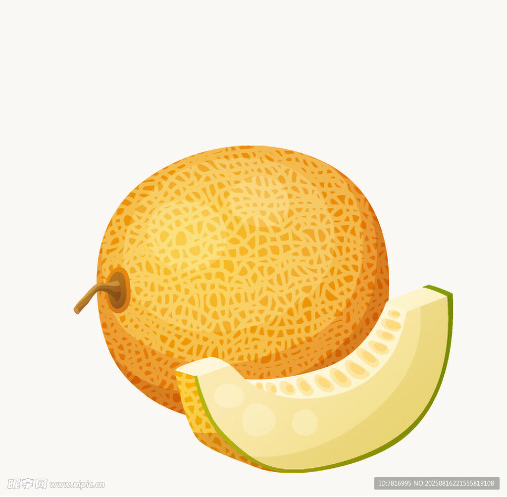 甜瓜與切片甜瓜插畫