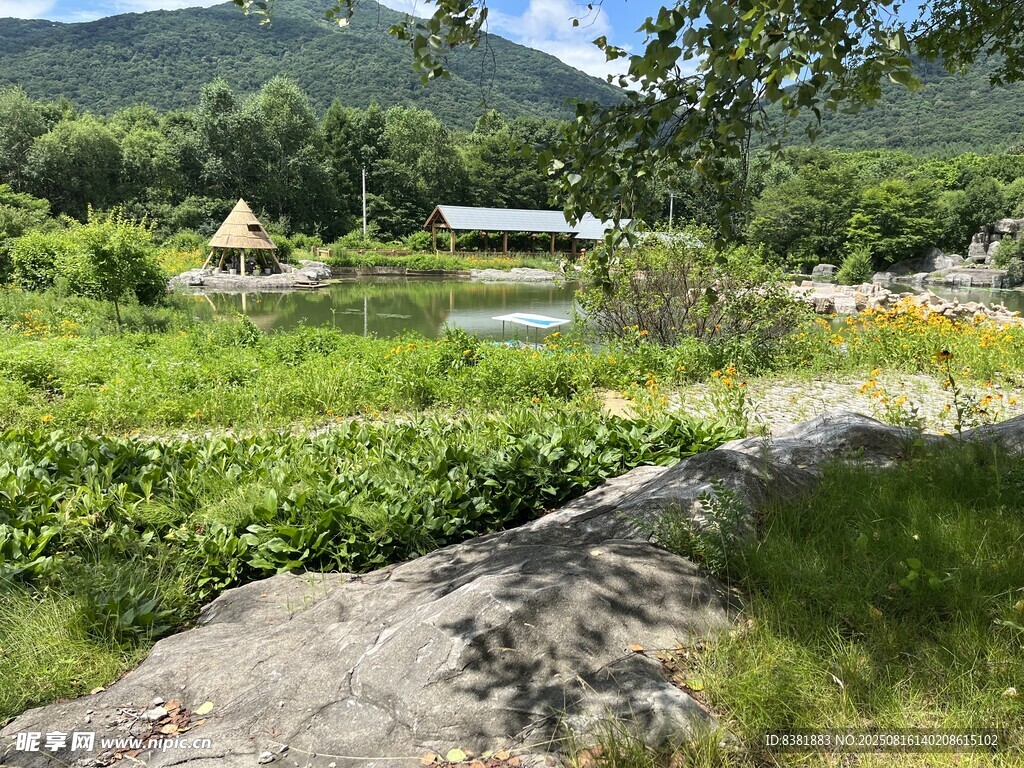 山中美景