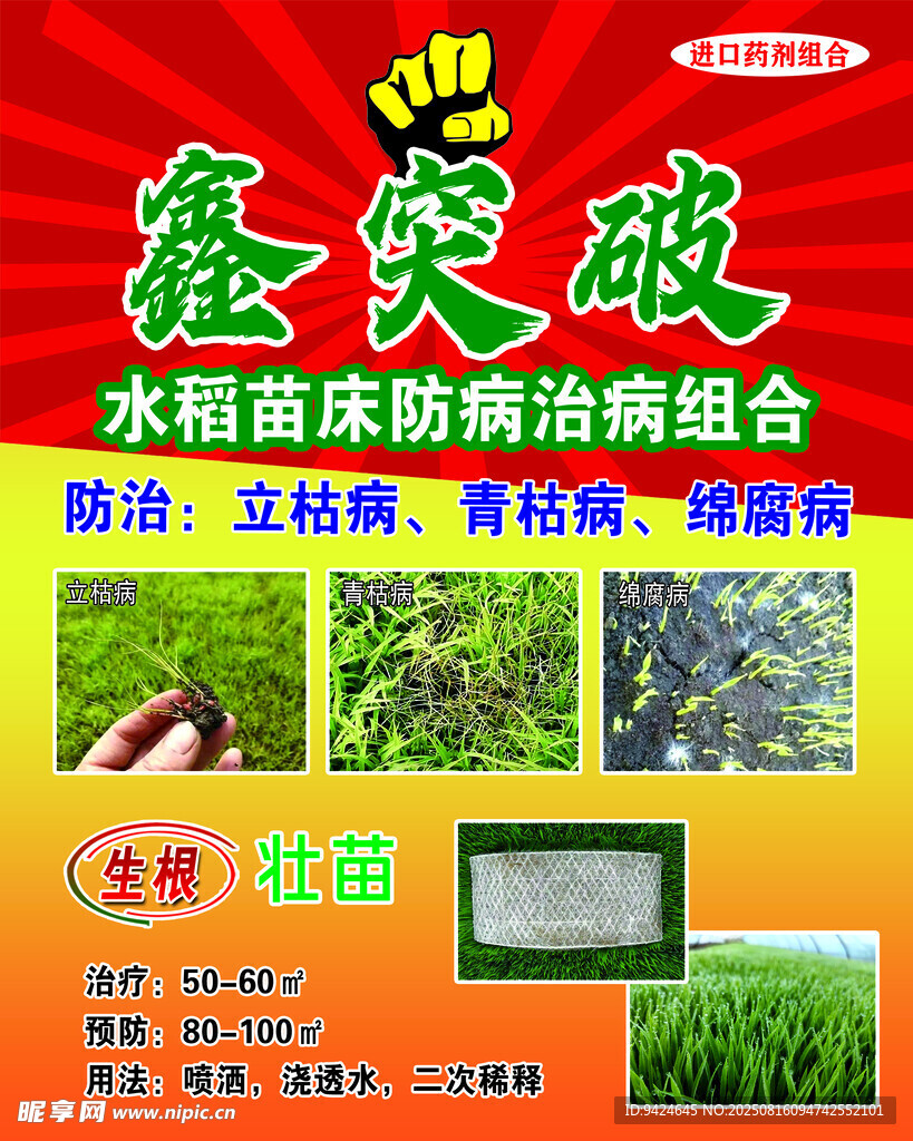 水稻苗床防病治蟲組合