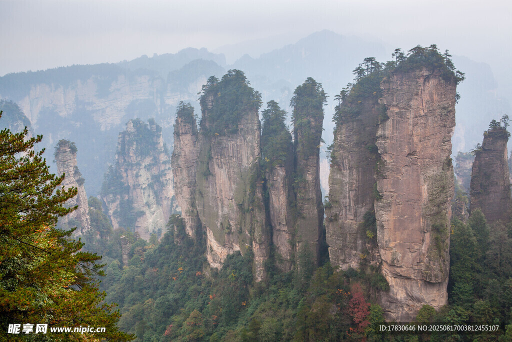 張家界奇峰美景