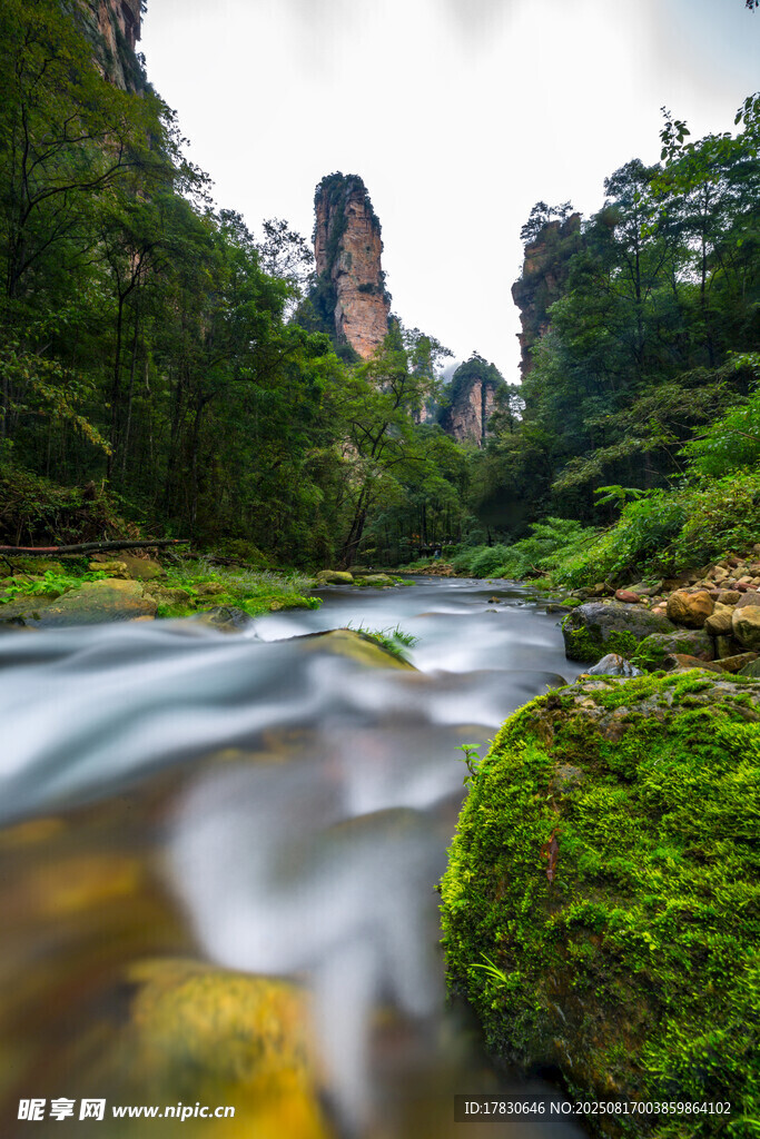 山間溪流旁的翠綠自然景觀