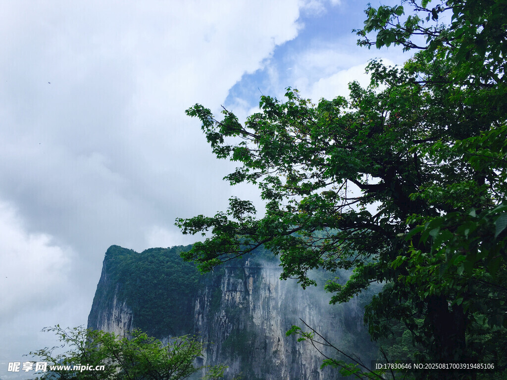 青山綠樹間的巍峨山峰