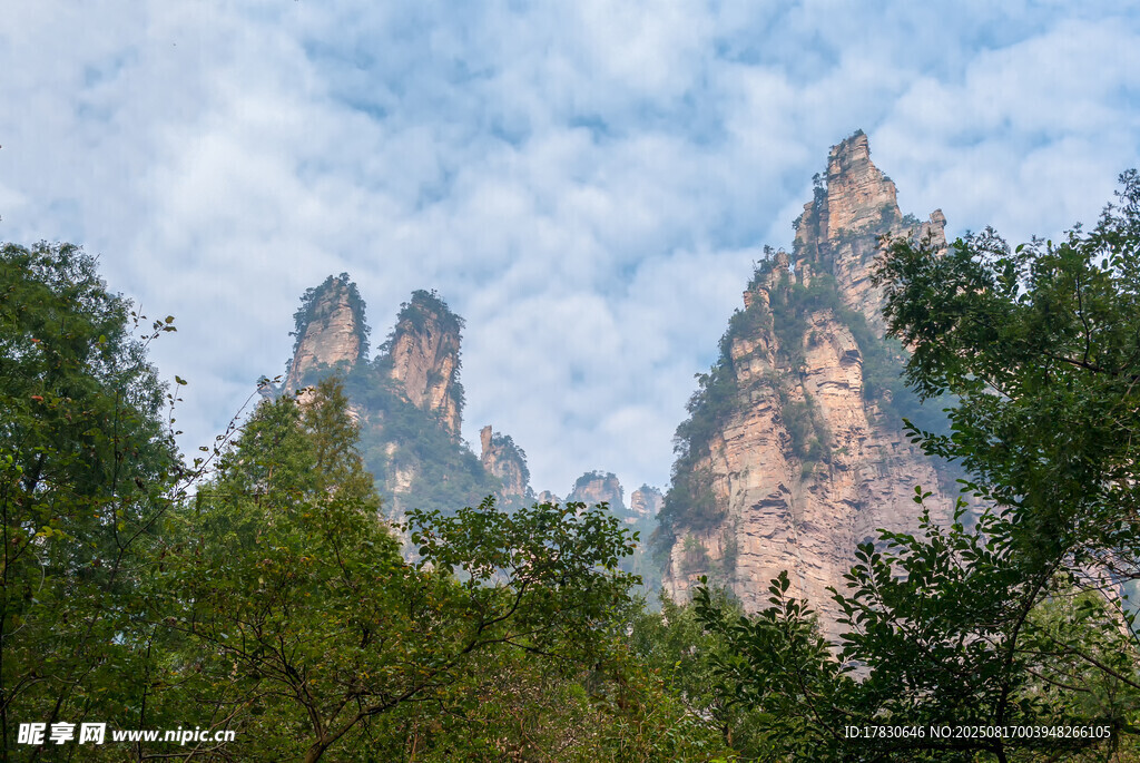 張家界奇峰林立美景