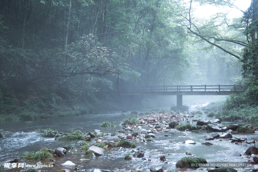 山林溪流間的霧中木橋