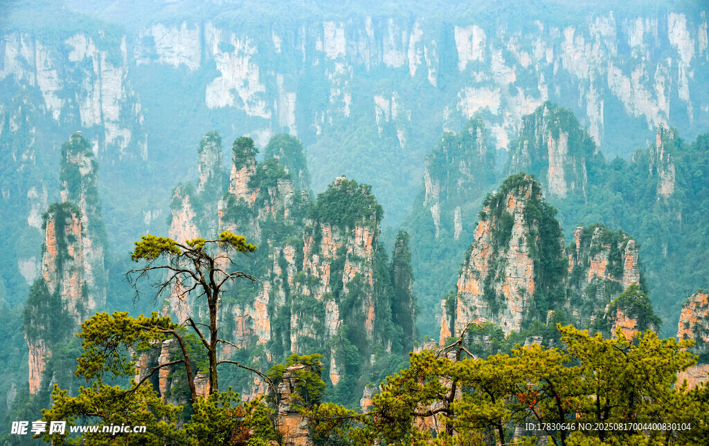 張家界奇峰美景