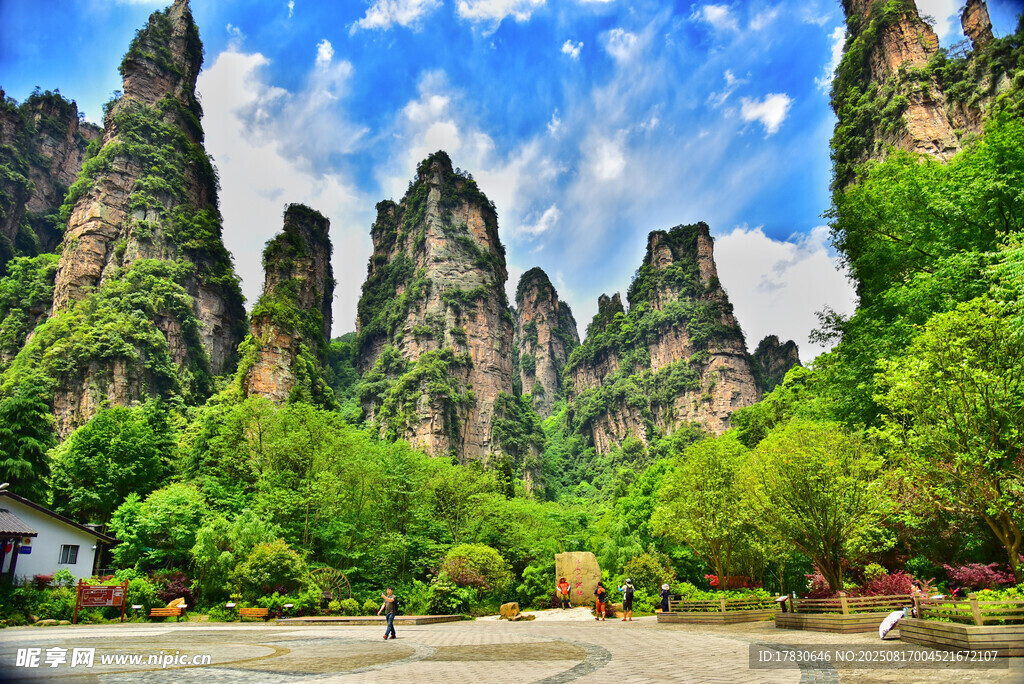 張家界奇峰異石美景