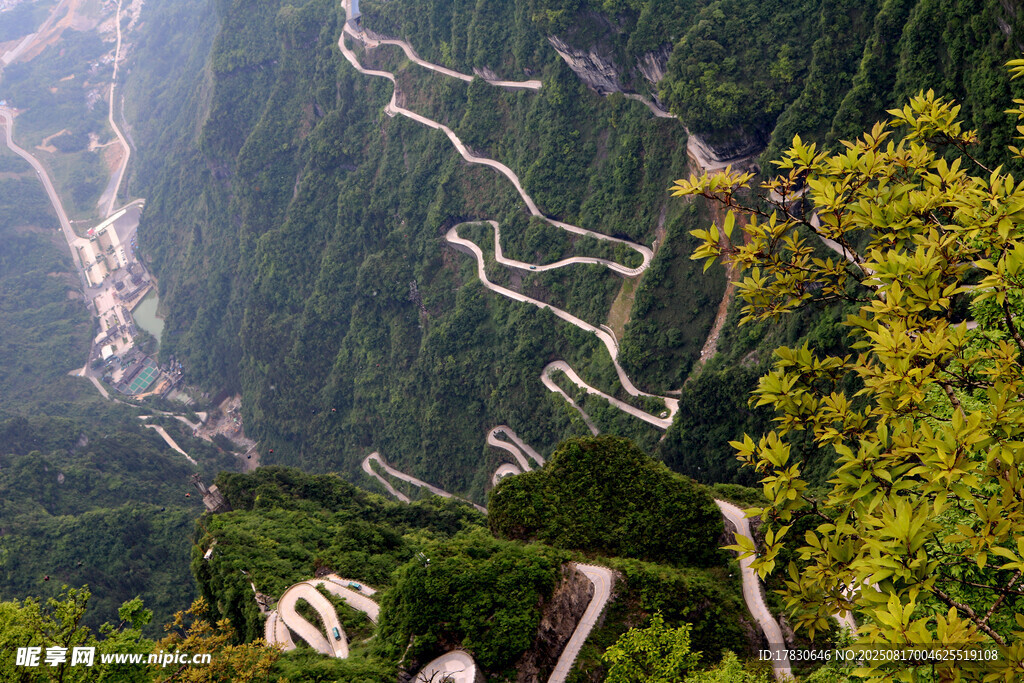 蜿蜒山間公路景觀