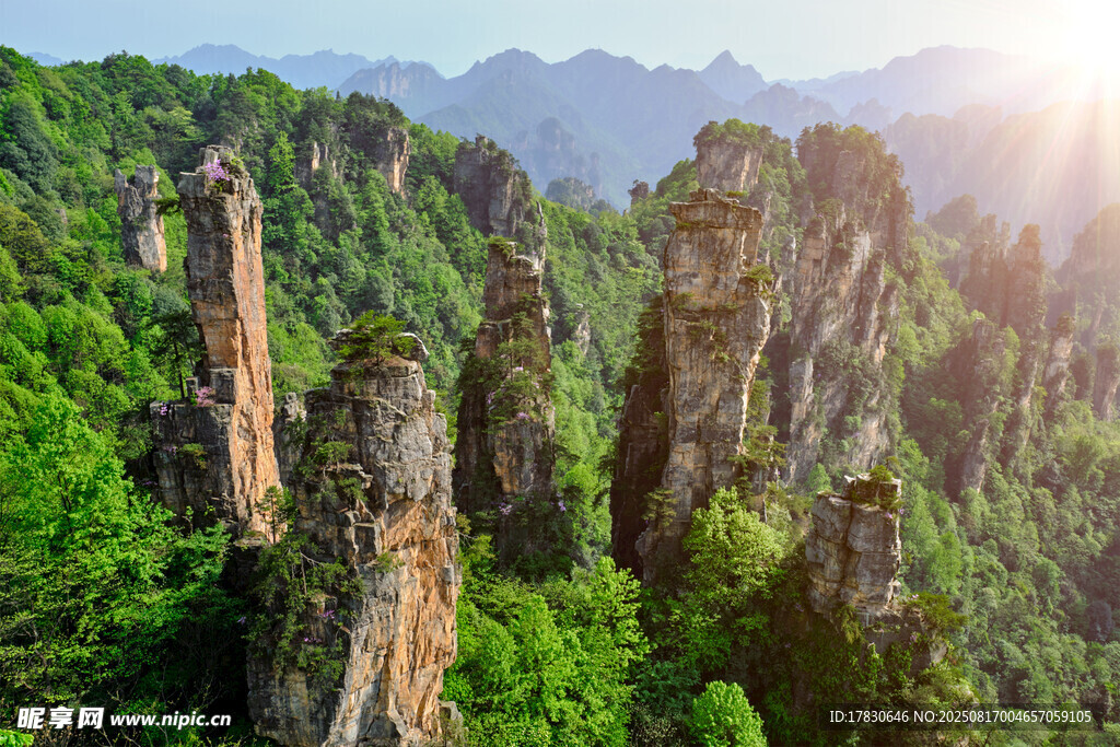 張家界奇峰異石美景