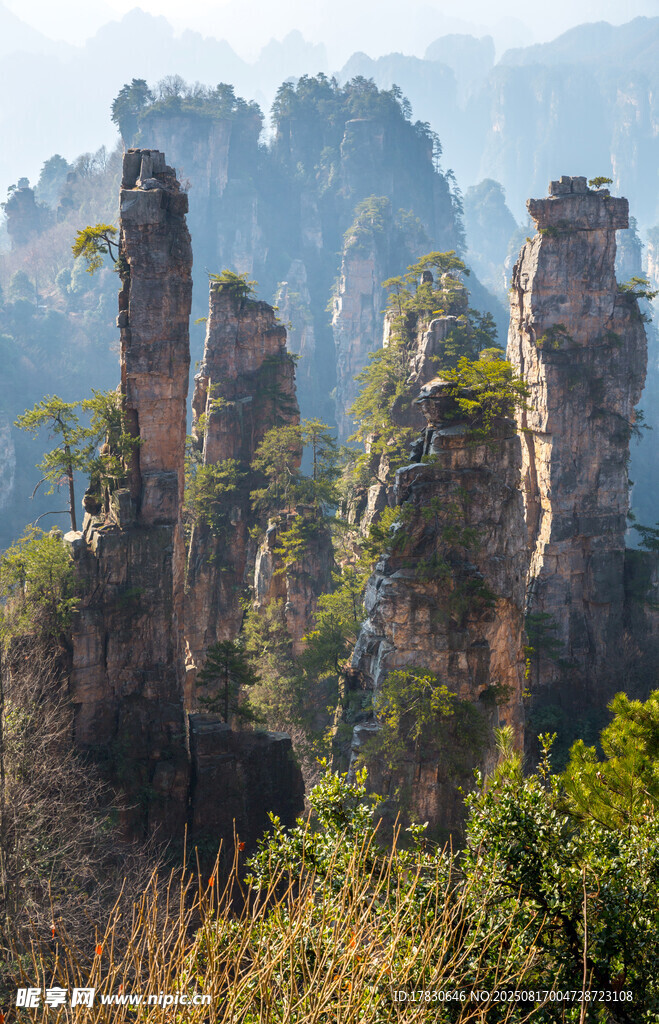 張家界奇峰異石景觀