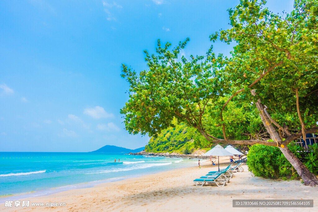 美麗海濱沙灘度假場景