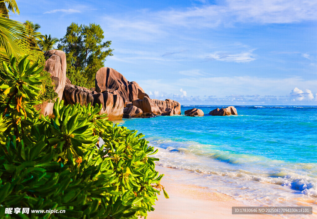 美麗海島沙灘風景