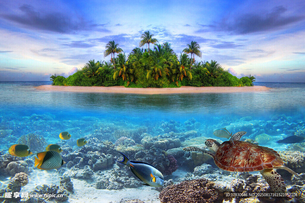 夢幻海島水下珊瑚景觀