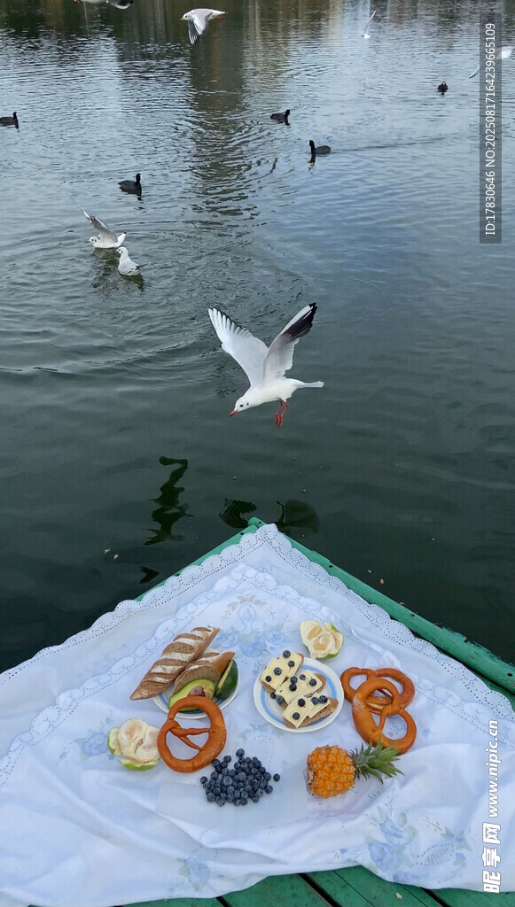 湖畔野餐遇飛翔海鷗
