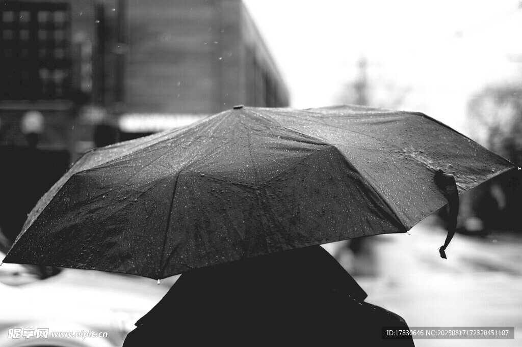 雨中撐傘背影