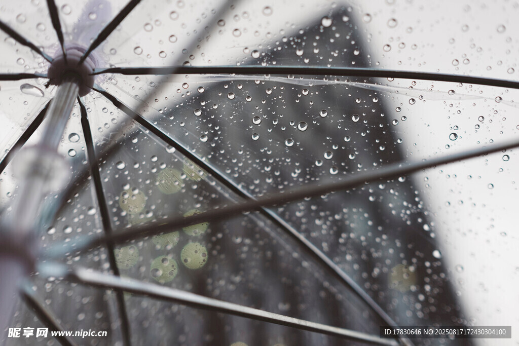 雨中傘面特寫