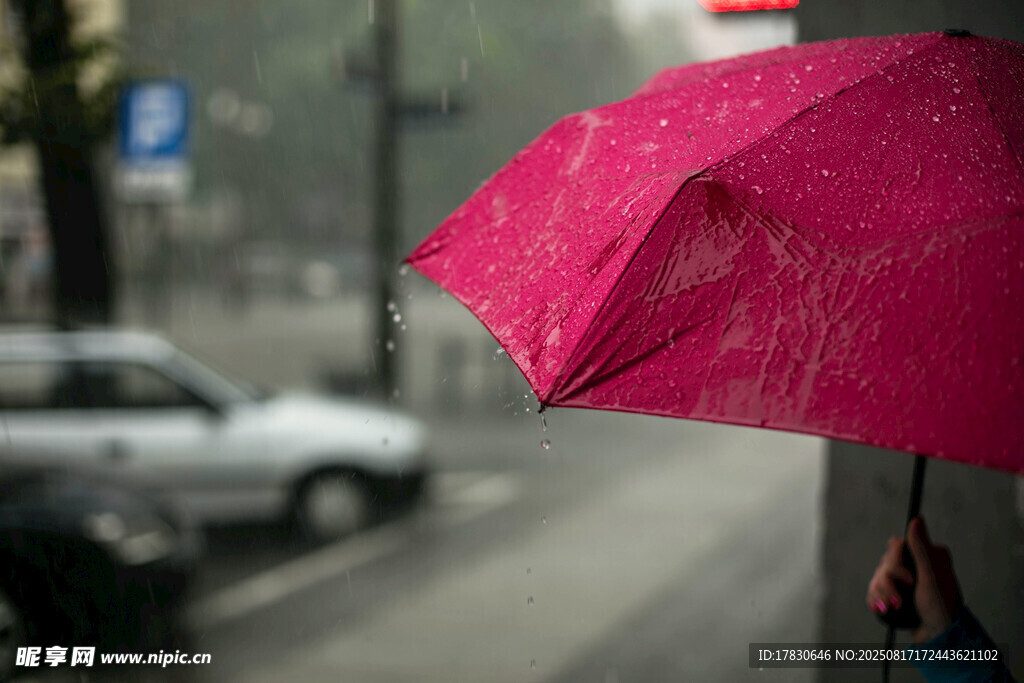 雨中撐粉傘的行人