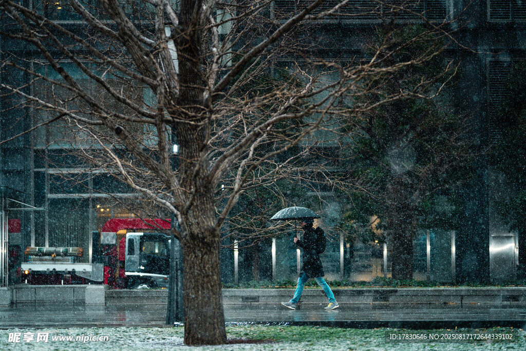 冬日城市街頭的蕭瑟景象