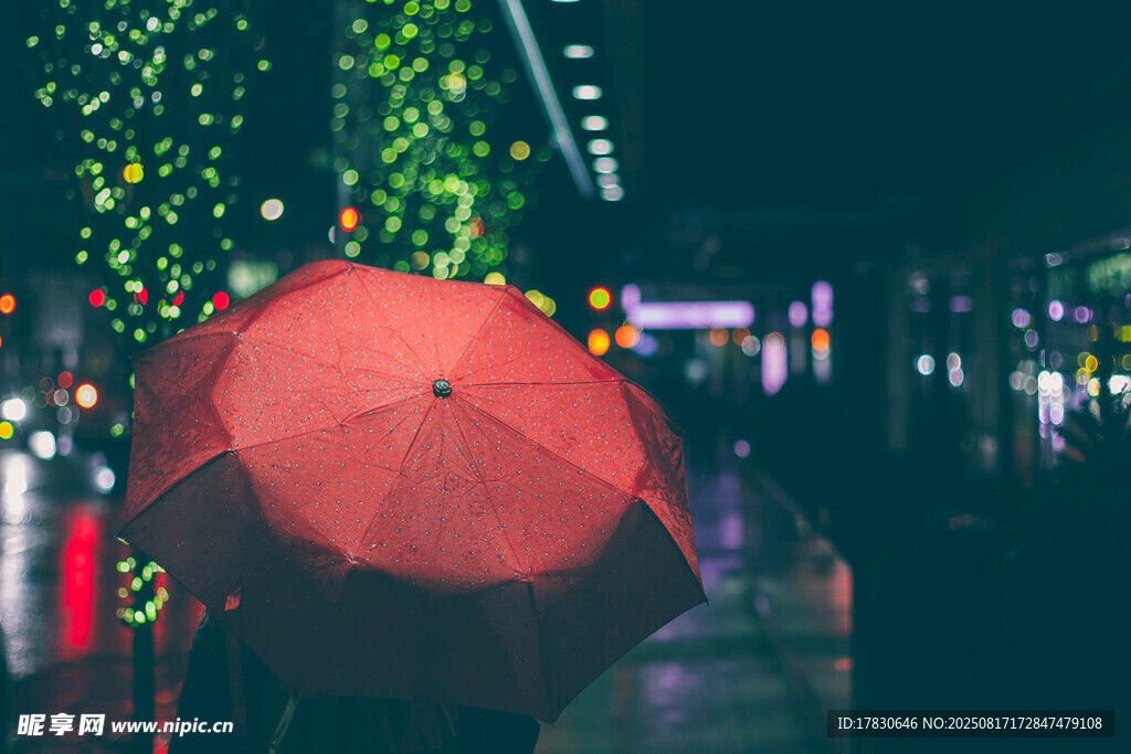 雨夜撐傘漫步的浪漫身影