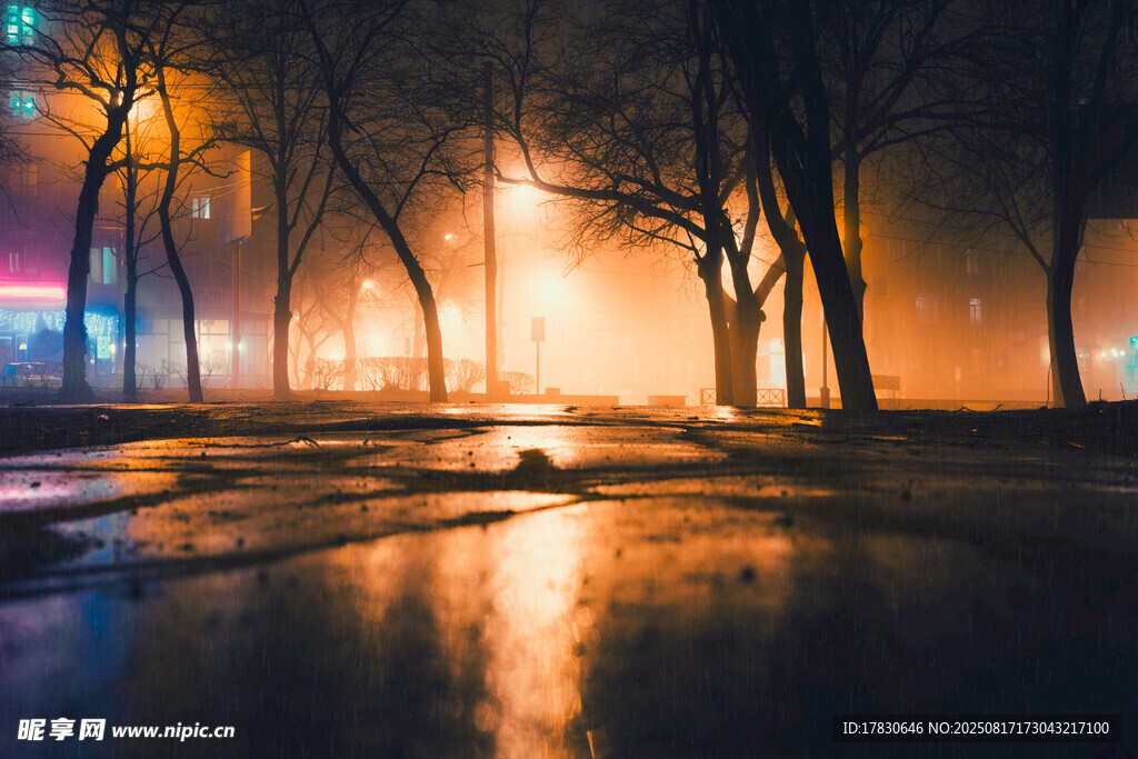 雨夜街頭的光影景致
