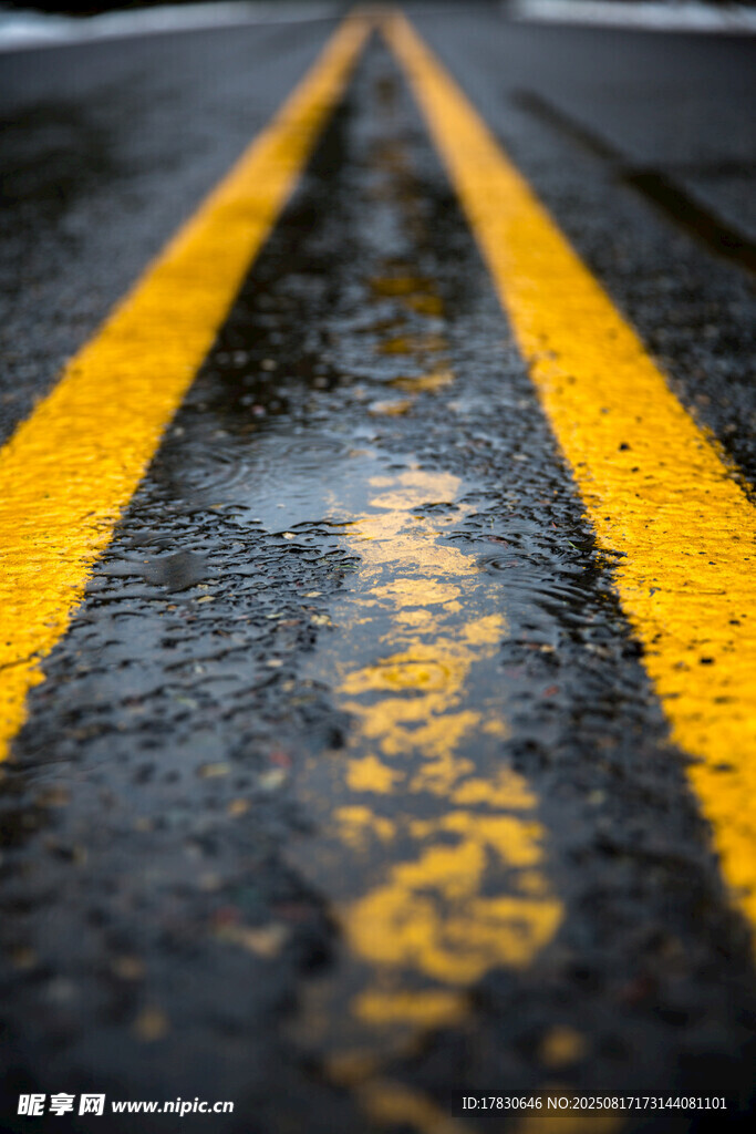 雨后道路雙黃線特寫