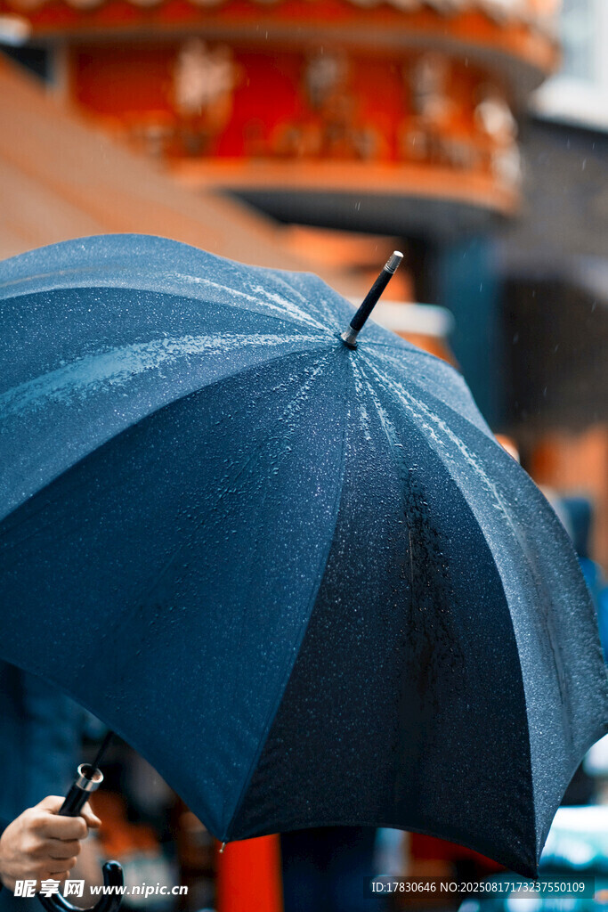 雨中手持深藍色雨傘