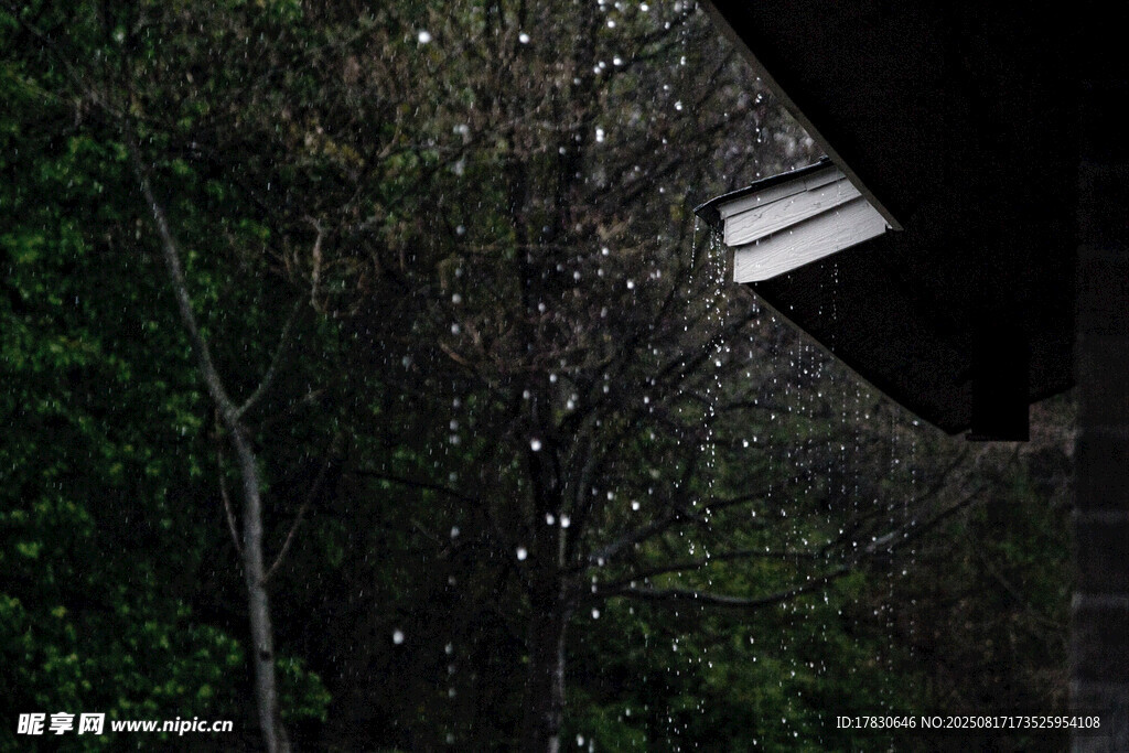 雨中屋檐下的朦朧樹林