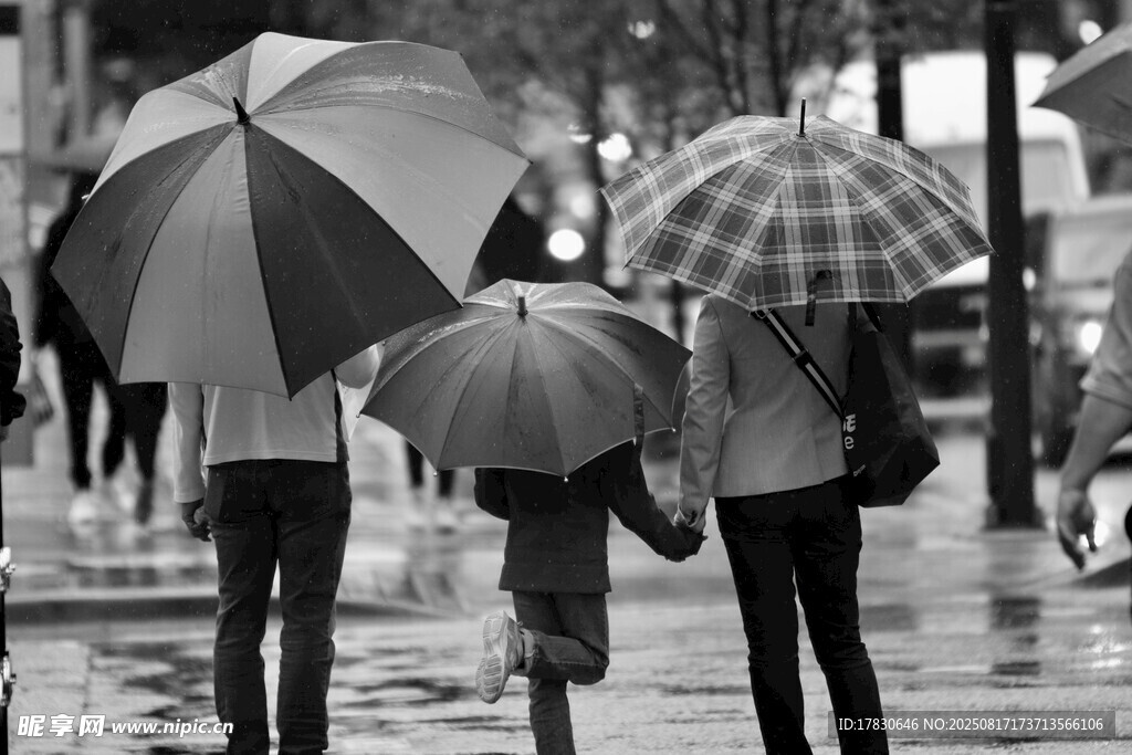 雨中親子撐傘漫步畫(huà)面