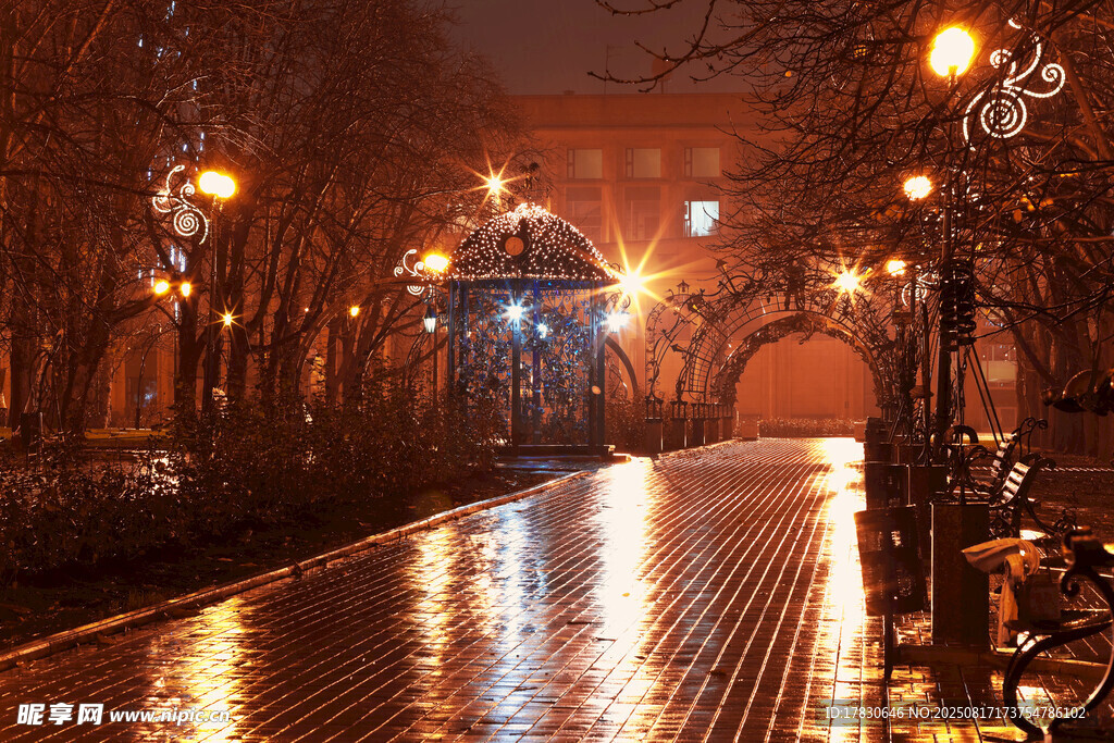 雨夜街頭的璀璨燈光