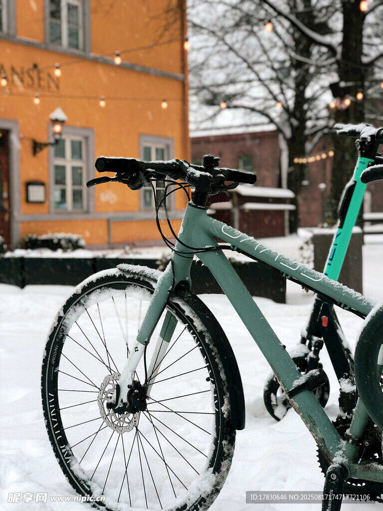 雪地中的綠色自行車
