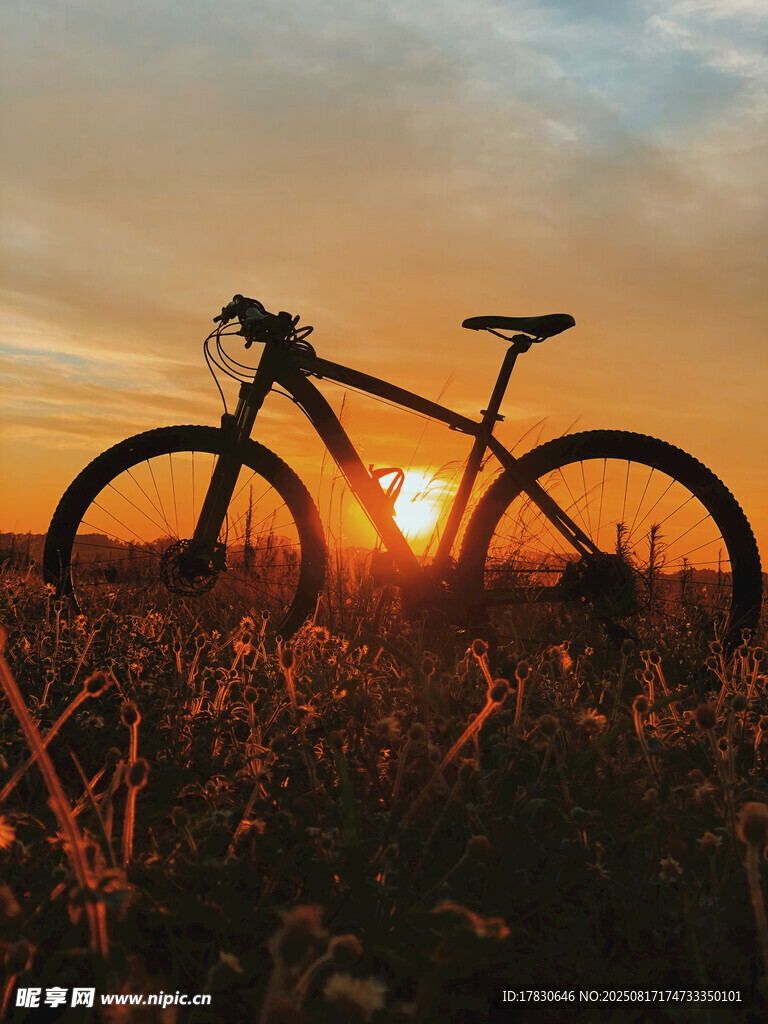 夕陽(yáng)下的自行車剪影