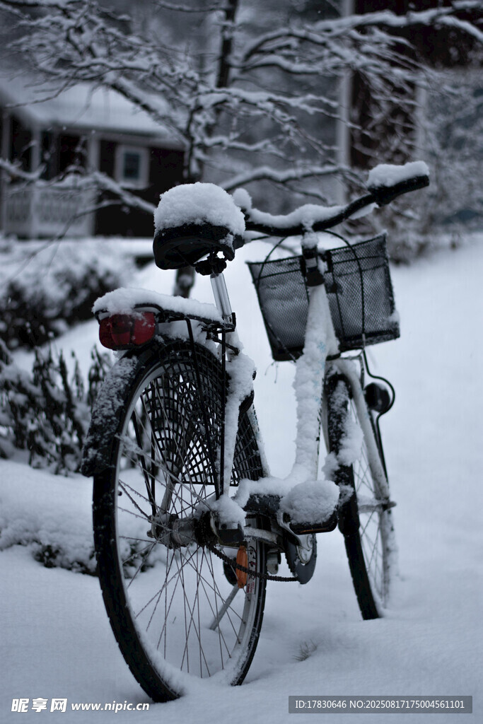 雪中停放的自行車