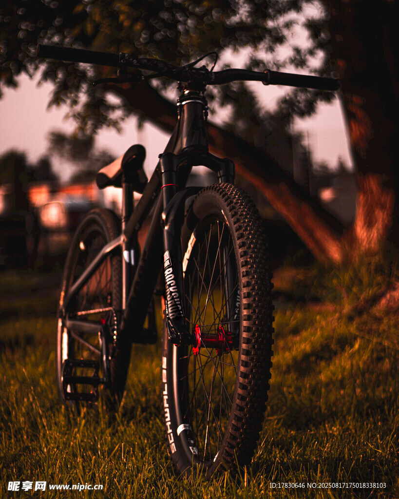 夕陽下的草地自行車