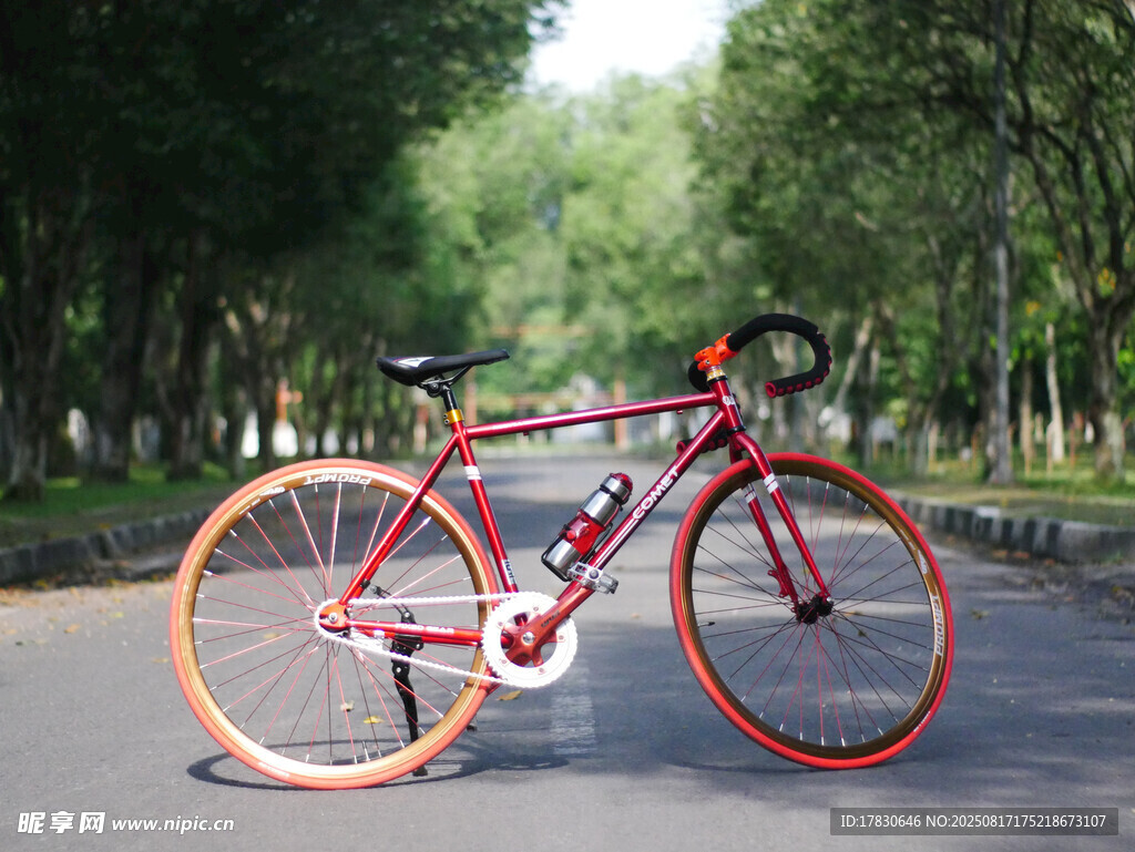 公路上的紅色酷炫自行車