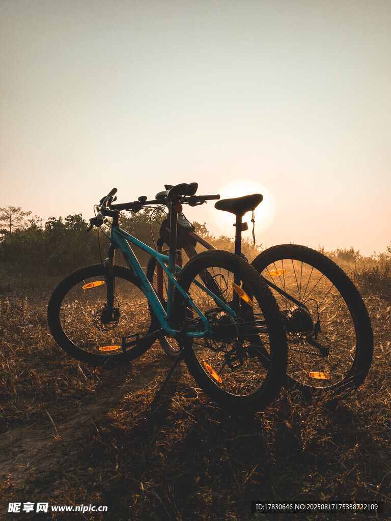 夕陽下的雙山地自行車