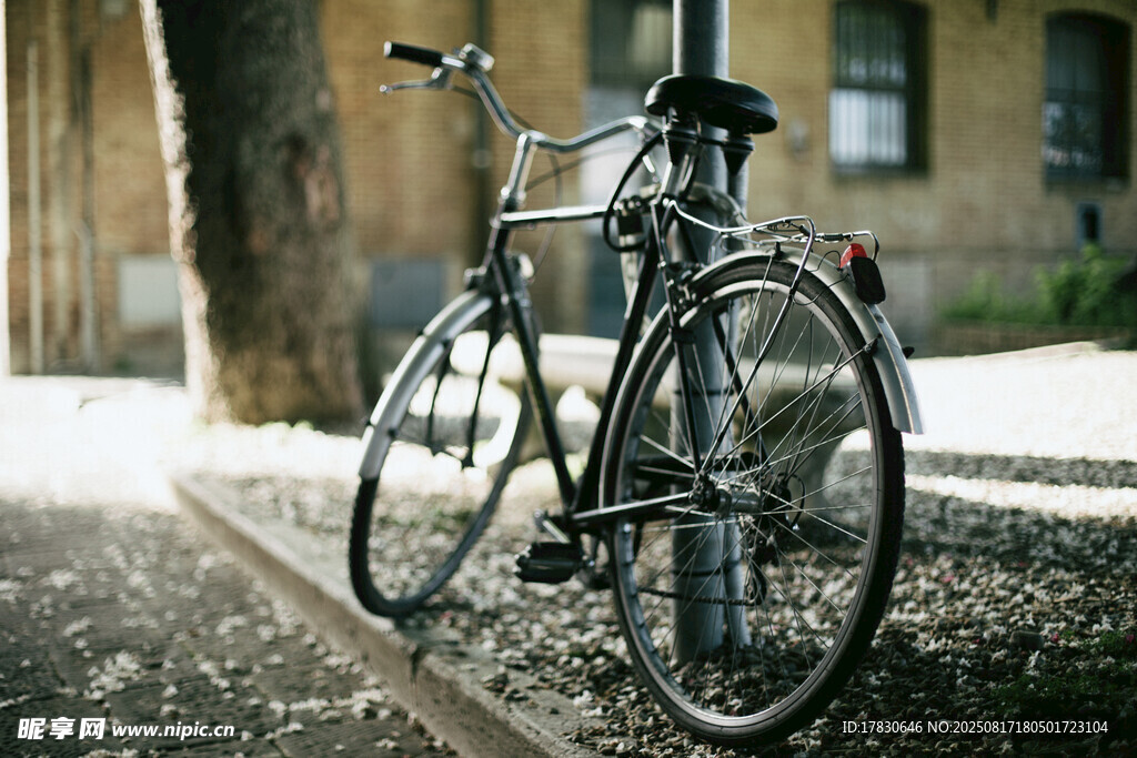 復(fù)古自行車?？吭诮值琅? />
                            </div>
                    </div>
                </div>



                <div   id=