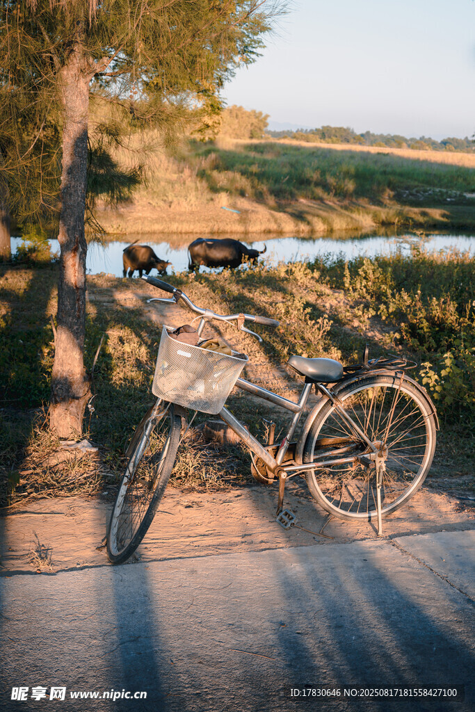夕陽下的自行車?？吭诼愤? />
                            </div>
                    </div>
                </div>



                <div   id=