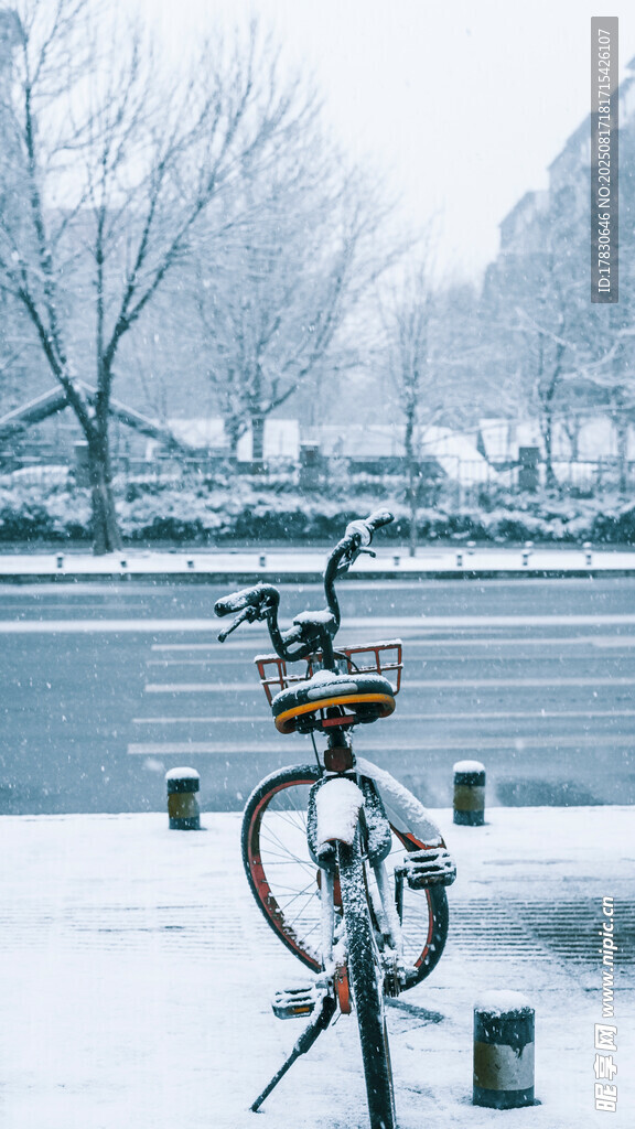 冬日雪景中的停放自行車