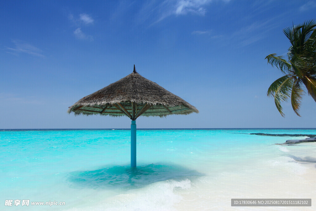 熱帶海邊遮陽傘美景