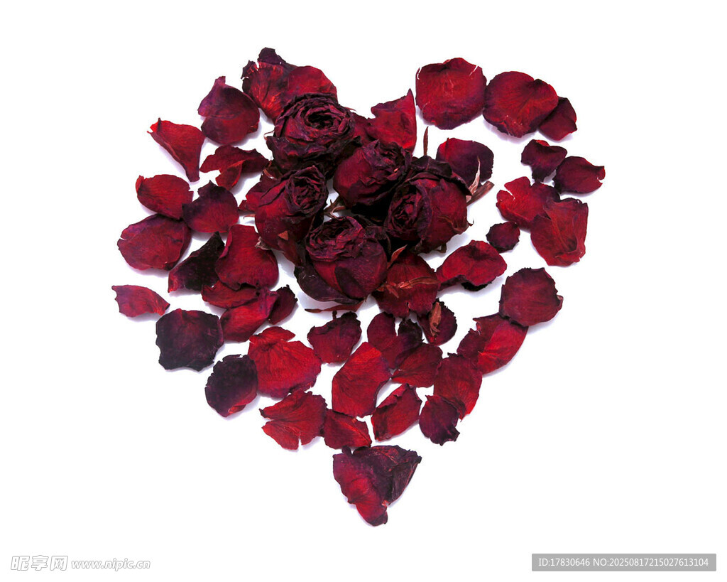 心形玫瑰花瓣浪漫場景