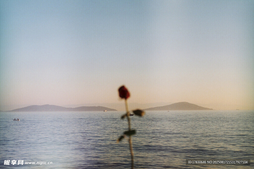 海上獨桿花朵風(fēng)景