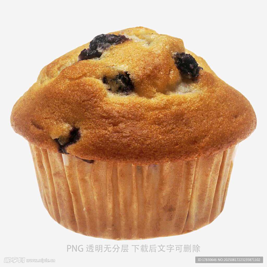 紙杯蛋糕